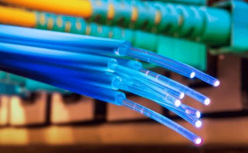 西澳數(shù)字生活賬本 光纖電纜連接下的終身網(wǎng)絡(luò)開支揭秘