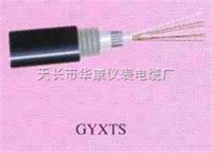 天長市華康儀表電纜廠GYXTS光纜產(chǎn)品報(bào)價(jià)及采購指南