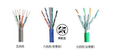 網(wǎng)絡(luò)必備課 最全最易懂的網(wǎng)線與光纖電纜區(qū)分指南