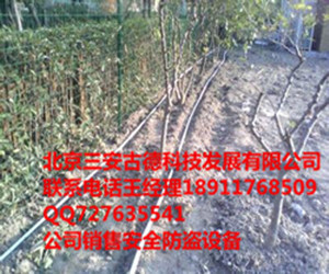 北京振動光纖、石家莊泄漏電纜與山西工廠電子圍欄 現代安防技術的地域應用與融合